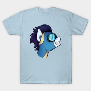 Soarin' T-Shirt